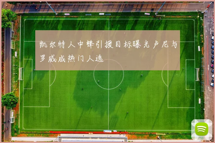 凯尔特人中锋引援目标曝光卢尼与罗威成热门人选